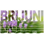 Majica bijela Brijuni 05