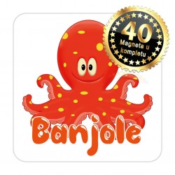 Magneti hobotnica EKO 11 Komplet 40 ili 20 kom  Banjole