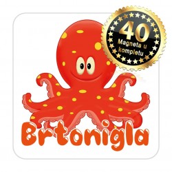 Magneti hobotnica EKO 11 Komplet 40 ili 20 kom  Brtonigla