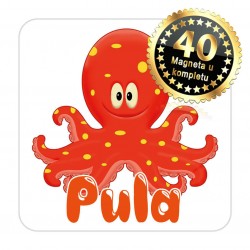 Magneti hobotnica EKO 11 Komplet 40 ili 20 kom  Pula