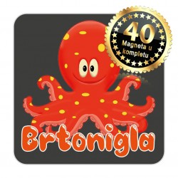 Magneti hobotnica EKO 12 Komplet 40 ili 20 kom  Brtonigla