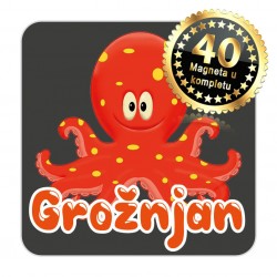 Magneti hobotnica EKO 12 Komplet 40 ili 20 kom  Grožnjan