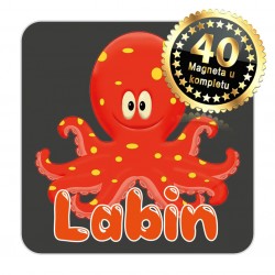 Magneti hobotnica EKO 12 Komplet 40 ili 20 kom  Labin