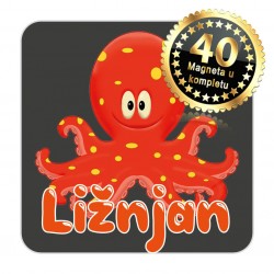 Magneti hobotnica EKO 12 Komplet 40 ili 20 kom  Ližnjan