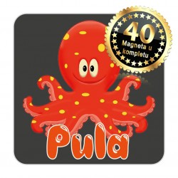 Magneti hobotnica EKO 12 Komplet 40 ili 20 kom  Pula