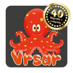 Magneti hobotnica EKO 12 Komplet 40 ili 20 kom  Vrsar