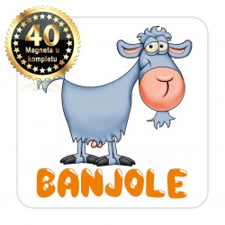 Magneti koza EKO 15 Komplet 40 ili 20 kom  Banjole