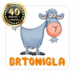 Magneti koza EKO 15 Komplet 40 ili 20 kom  Brtonigla