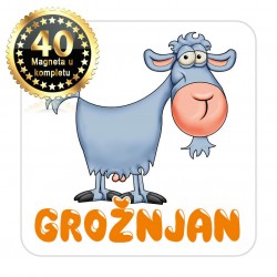 Magneti koza EKO 15 Komplet 40 ili 20 kom  Grožnjan