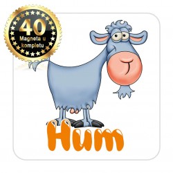 Magneti koza EKO 15 Komplet 40 ili 20 kom  Hum