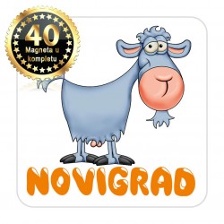 Magneti koza EKO 15 Komplet 40 ili 20 kom  Novigrad