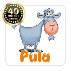 Magneti koza EKO 15 Komplet 40 ili 20 kom  Pula