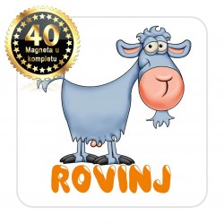 Magneti koza EKO 15 Komplet 40 ili 20 kom  Rovinj