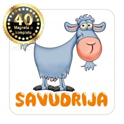 Magneti koza EKO 15 Komplet 40 ili 20 kom  Savudrija