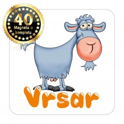 Magneti koza EKO 15 Komplet 40 ili 20 kom  Vrsar