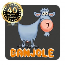 Magneti koza EKO 16 Komplet 40 ili 20 kom  Banjole