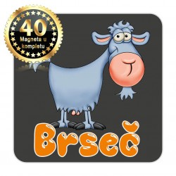 Magneti koza EKO 16 Komplet 40 ili 20 kom  Brseč