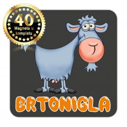Magneti koza EKO 16 Komplet 40 ili 20 kom  Brtonigla