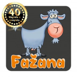 Magneti koza EKO 16 Komplet 40 ili 20 kom  Fažana