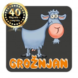 Magneti koza EKO 16 Komplet 40 ili 20 kom  Grožnjan