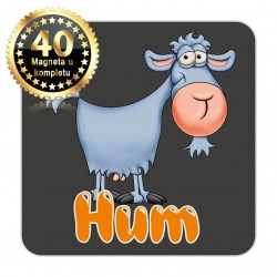Magneti koza EKO 16 Komplet 40 ili 20 kom  Hum