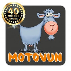 Magneti koza EKO 16 Komplet 40 ili 20 kom  Motovun