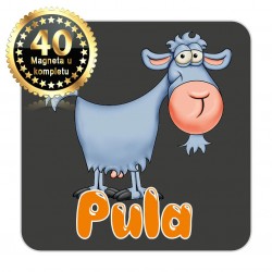 Magneti koza EKO 16 Komplet 40 ili 20 kom  Pula