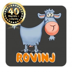 Magneti koza EKO 16 Komplet 40 ili 20 kom  Rovinj