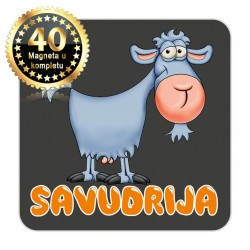 Magneti koza EKO 16 Komplet 40 ili 20 kom  Savudrija