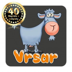 Magneti koza EKO 16 Komplet 40 ili 20 kom  Vrsar