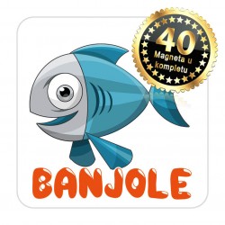 Magneti maslina EKO 19 Komplet 40 ili 20 kom  Banjole