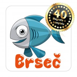 Magneti maslina EKO 19 Komplet 40 ili 20 kom  Brseč