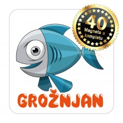 Magneti maslina EKO 19 Komplet 40 ili 20 kom  Grožnjan