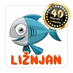 Magneti maslina EKO 19 Komplet 40 ili 20 kom  Ližnjan