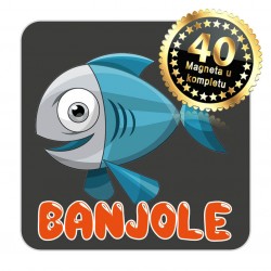 Magneti maslina EKO 20 Komplet 40 ili 20 kom  Banjole