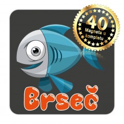 Magneti maslina EKO 20 Komplet 40 ili 20 kom  Brseč