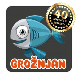 Magneti maslina EKO 20 Komplet 40 ili 20 kom  Grožnjan