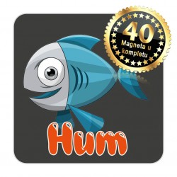 Magneti maslina EKO 20 Komplet 40 ili 20 kom  Hum