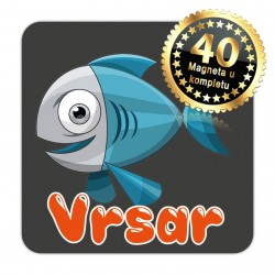 Magneti maslina EKO 20 Komplet 40 ili 20 kom  Vrsar