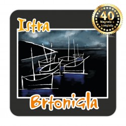 Magneti jedrilice EKO C 16 B Komplet 40 ili 20 kom  Brtonigla