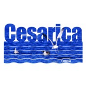 Cesarica (73)